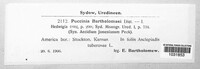 Image Associated With the Occurence